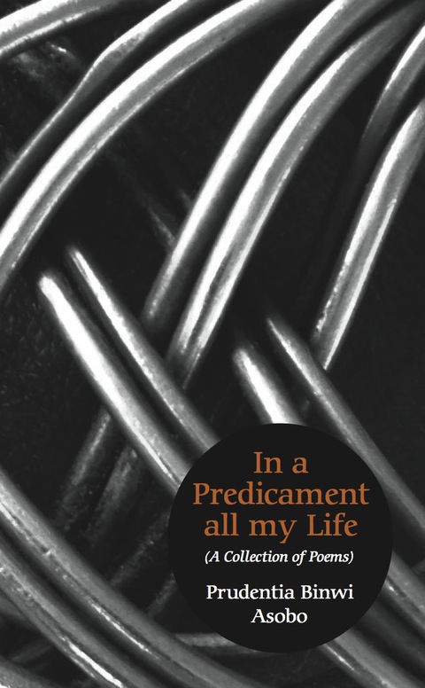 Cover image for book In A Predicament All My Life