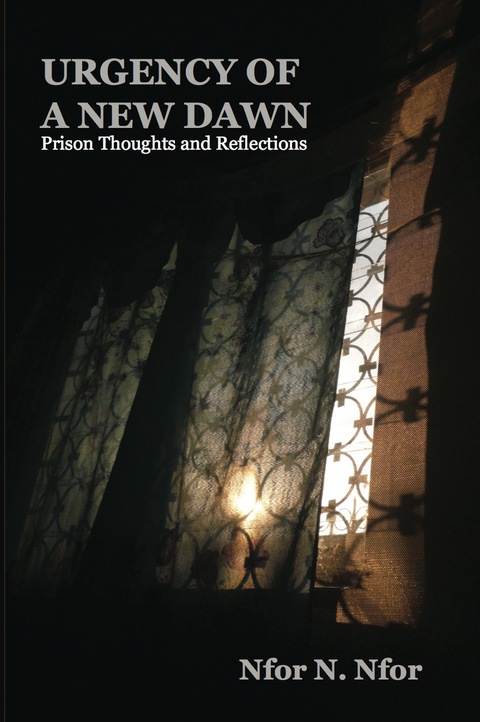 Cover image for book Urgency of a New Dawn