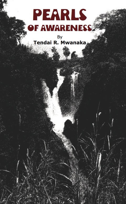 Cover image for book Pearls of Awareness