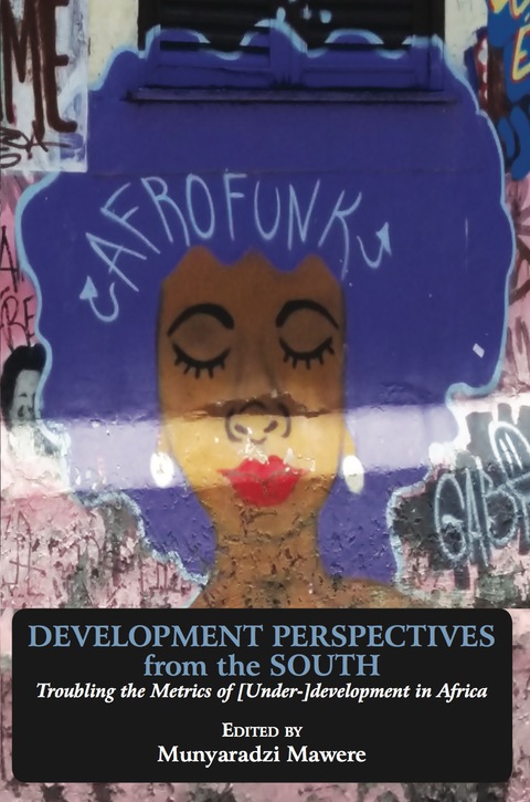 Cover image for book Development Perspectives from the South
