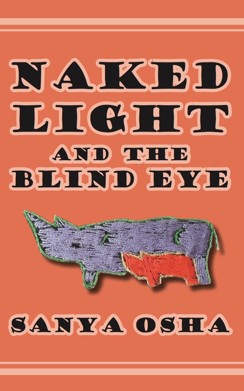 Cover image for book Naked Light and the Blind Eye