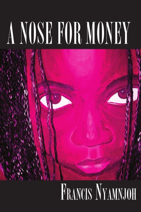 Cover image for book Nose for Money, A