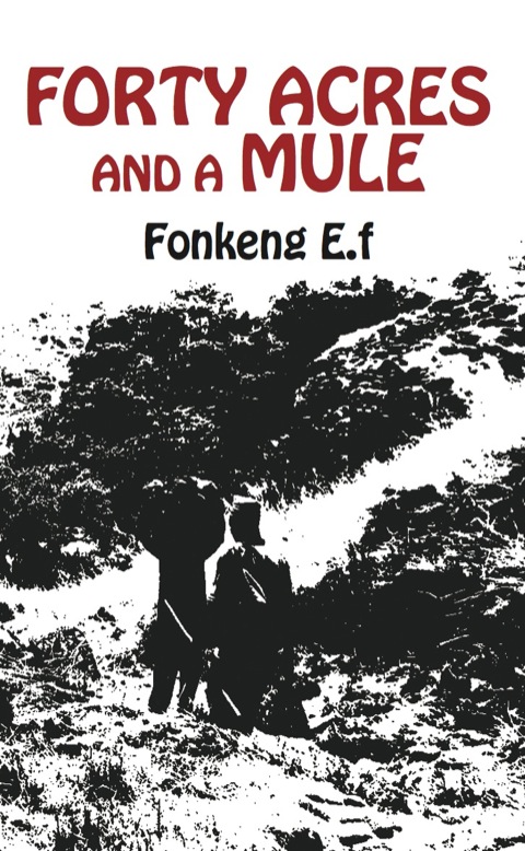 Cover image for book Forty Acres and a Mule