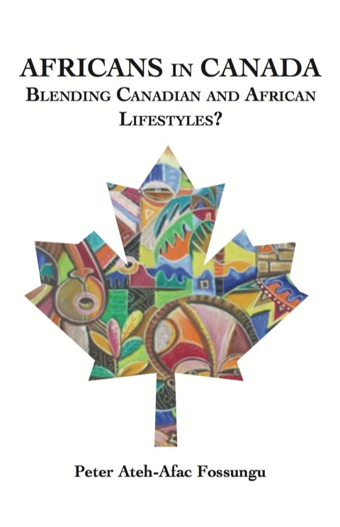 Cover image for book Africans in Canada