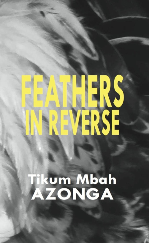 Cover image for book Feathers in Reverse