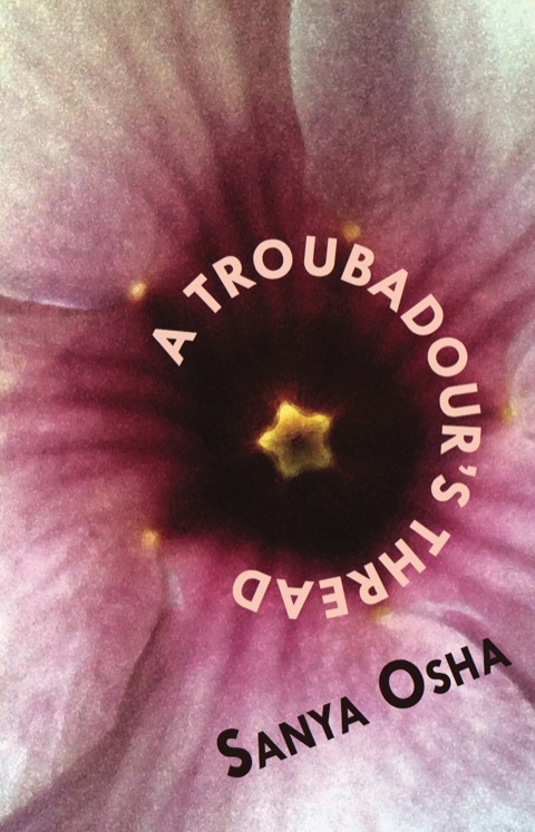 Cover image for book A Troubadour’s Thread