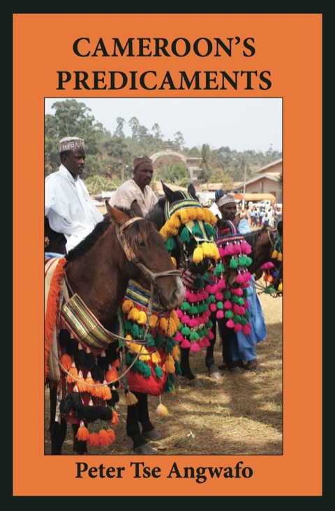 Cover image for book Cameroon's Predicaments