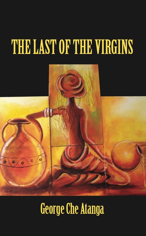 Cover image for book The Last Of The Virgins