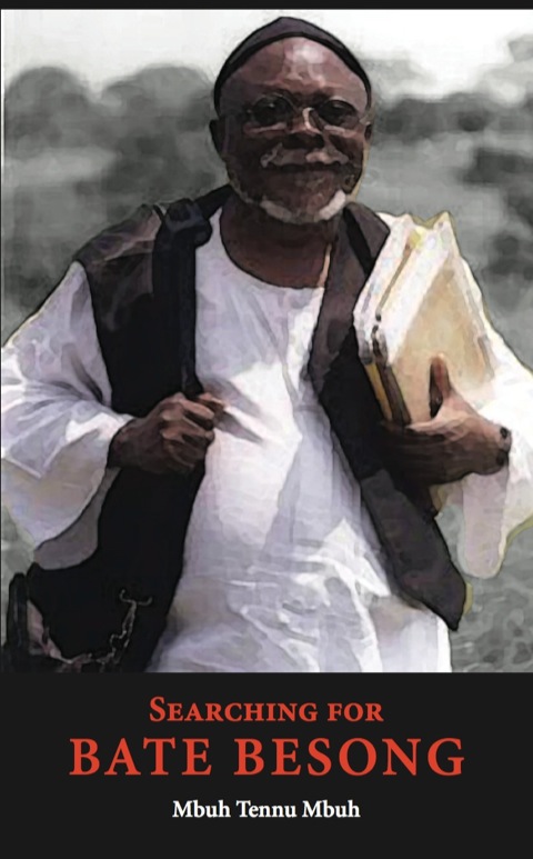Cover image for book Searching for Bate Besong