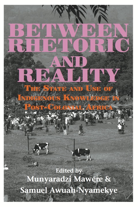 Cover image for book Between Rhetoric and Reality