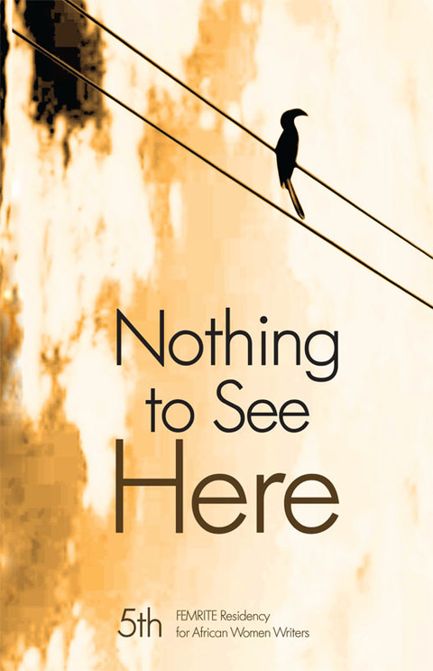 Cover image for book Nothing to See Here