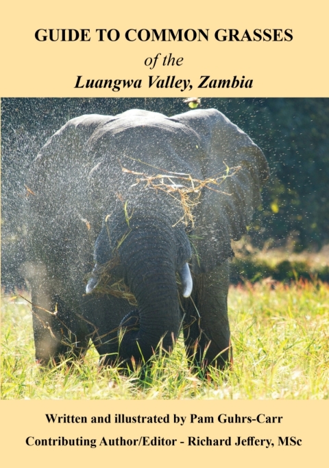 Guide to Common Grasses of the Luangwa Valley, Zambia 