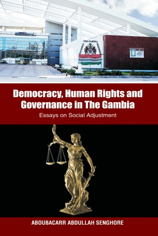 Democracy, Human Rights and Governance i