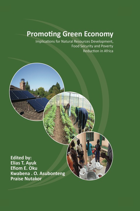 Cover image for book Promoting Green Economy