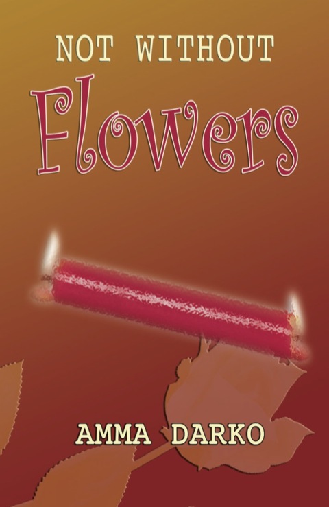 Cover image for book Darko: Not Without Flowers