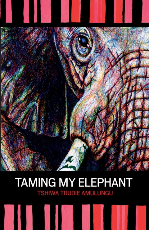 Cover image for book Amulungu: Taming My Elephant