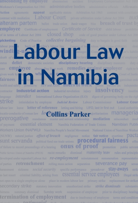 Cover image for book Labour Law in Namibia