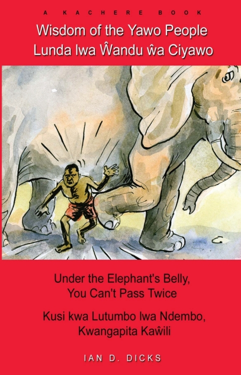Cover image for book Dicks: Wisdom of the Yawo People