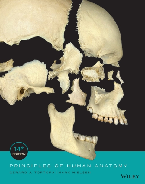 Cover image for book Principles of Human Anatomy, Fourteenth Edition WileyPLUS Single-term