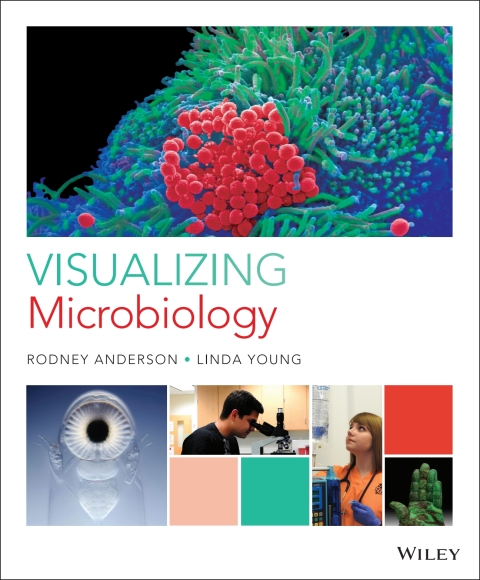 Cover image for book Visualizing Microbiology First Edition WileyPLUS Single-term