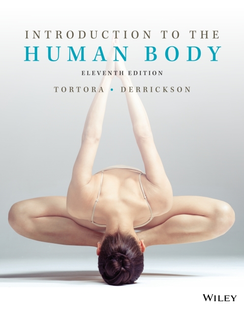 Cover image for book Introduction to the Human Body, WileyPLUS Single-term