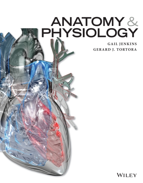 Cover image for book Anatomy and Physiology WileyPLUS Multi-term