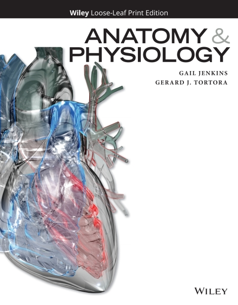 Cover image for book Anatomy and Physiology WileyPLUS Single-term