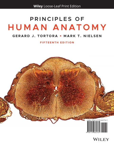 Cover image for book Principles of Human Anatomy, WileyPLUS Single-term