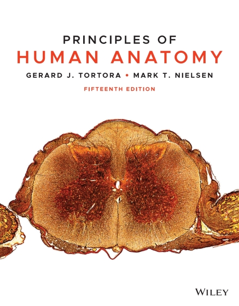 Cover image for book Principles of Human Anatomy, WileyPLUS Multi-term