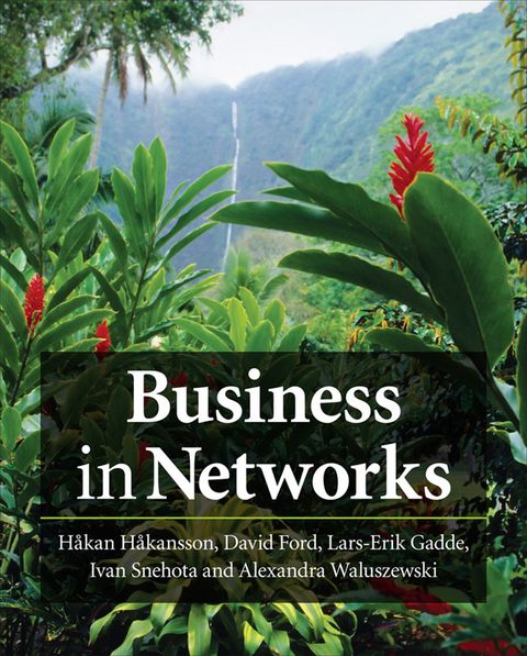Cover image for book Business in Networks