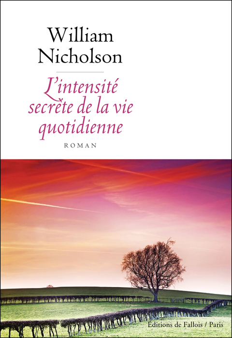 Cover image for book L'intensité secrète de la vie quotidienne