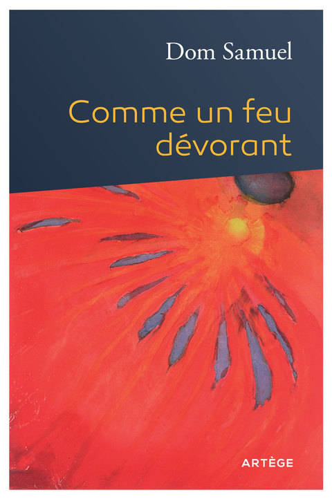 Cover image for book Comme un feu dévorant