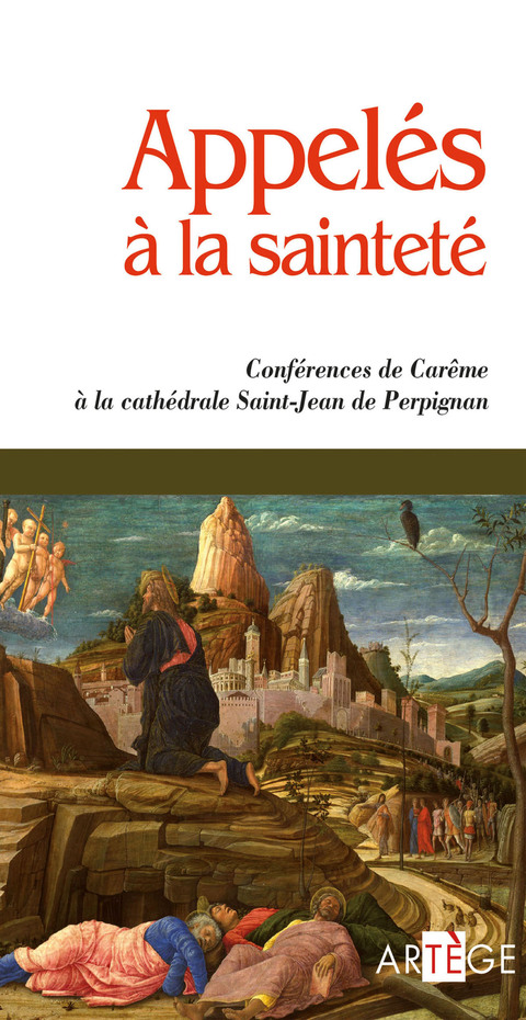 Cover image for book Appelés à la sainteté
