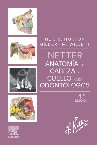 Netter. Anatomía de cabeza y cuello para odontólogos
