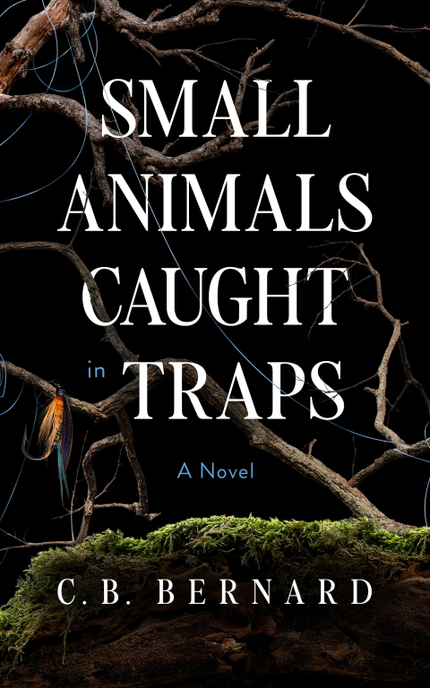 Cover image for book Small Animals Caught in Traps