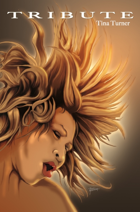 Cover image for book Tribute: Tina Turner