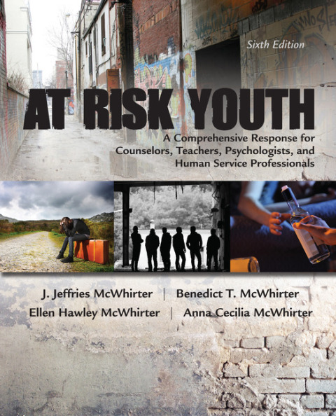Cover image for book At Risk Youth