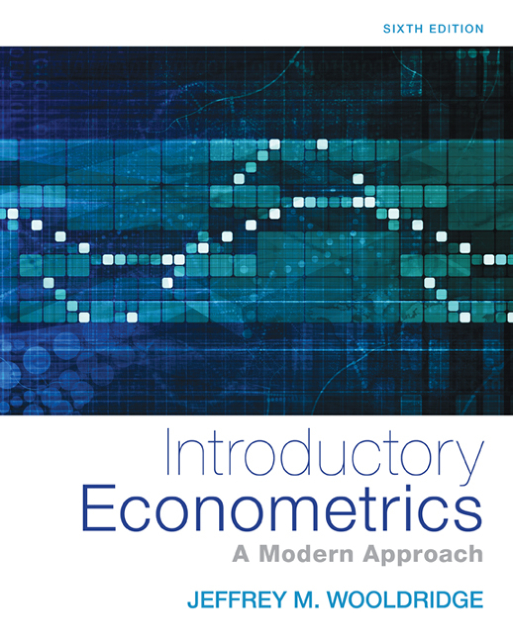 Reflowable Introductory Econometrics: A Modern Approach; $68.99