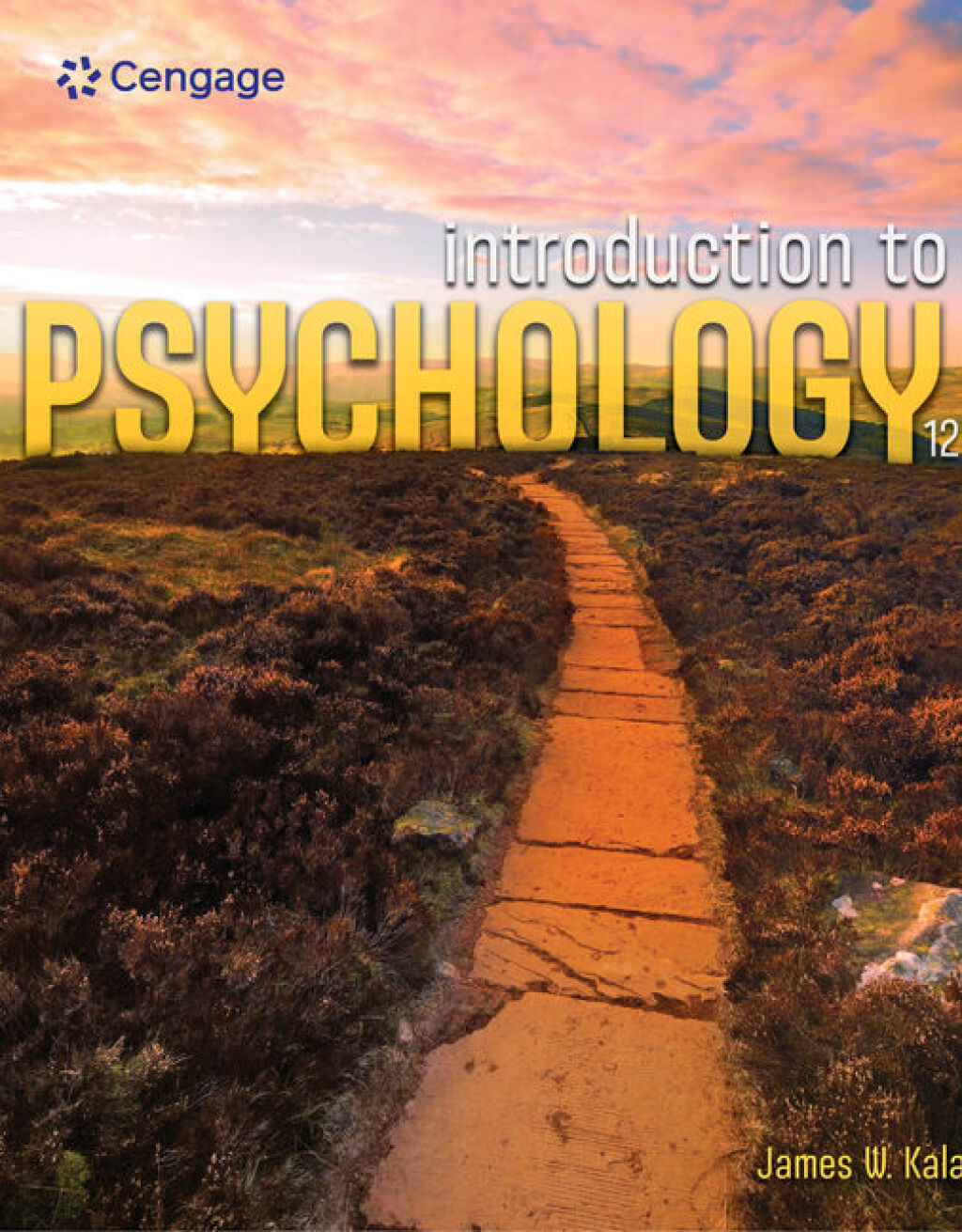 Reflowable Introduction to Psychology; $63.99