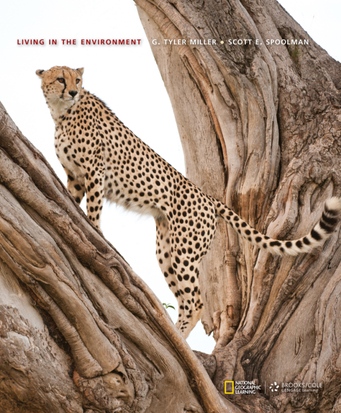 Cover image for book Living in the Environment