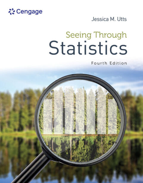 Cover image for book Seeing Through Statistics