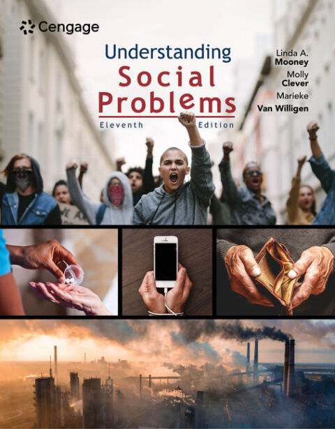 Cover image for book Understanding Social Problems