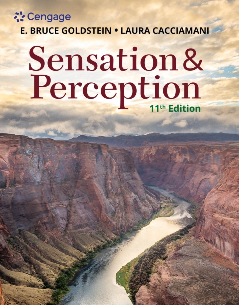 Cover image for book MindTap for Goldstein/Cacciamani's Sensation and Perception, 1 term Instant Access