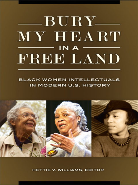Cover image for book Bury My Heart in a Free Land