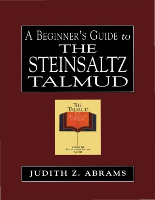 A Beginner's Guide to the Steinsaltz Talmud