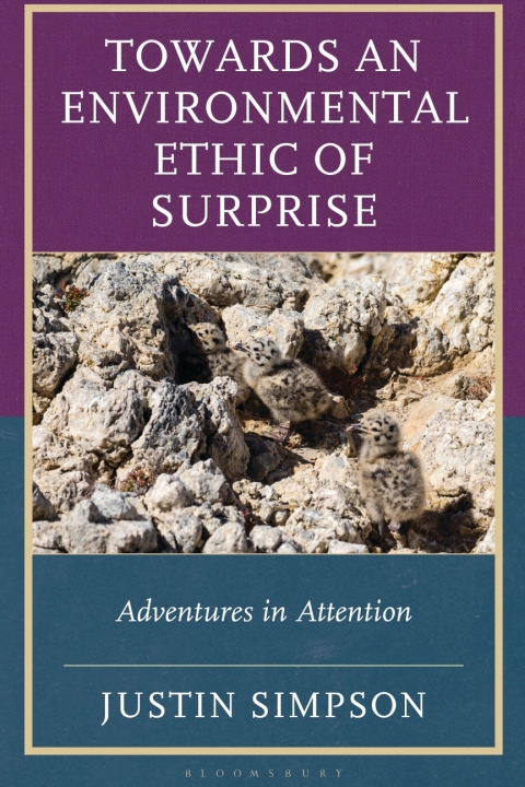 Cover image for book Towards an Environmental Ethic of Surprise