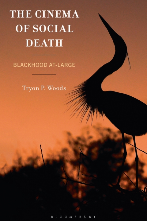 Cover image for book The Cinema of Social Death