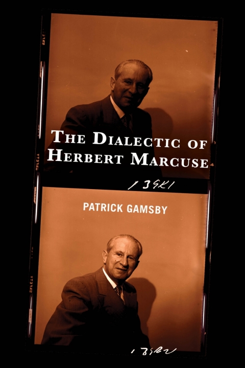 Cover image for book The Dialectic of Herbert Marcuse
