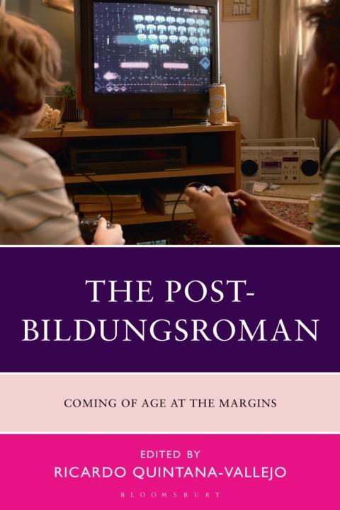 Cover image for book The Post-Bildungsroman