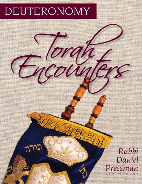 Cover image for book Torah Encounters
